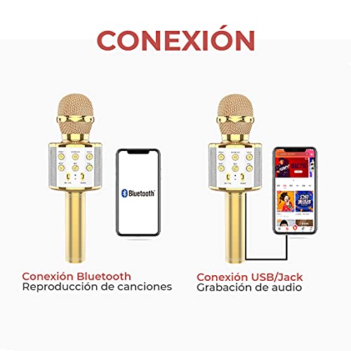 MAGIC SELECT Micrófono Karaoke con Funda de Regalo, Altavoz Bluetooth, Botón Selfie, Grabador de Voz con Tarjeta SD, Efectos de Voz y Eco, para niños y Fiestas, Compatible Android/iOS PC TV (Plata)