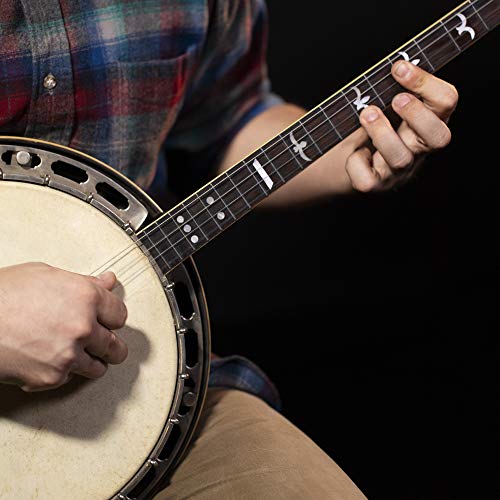 Martin V730 - Juego de cuerdas para banjo, 0.01