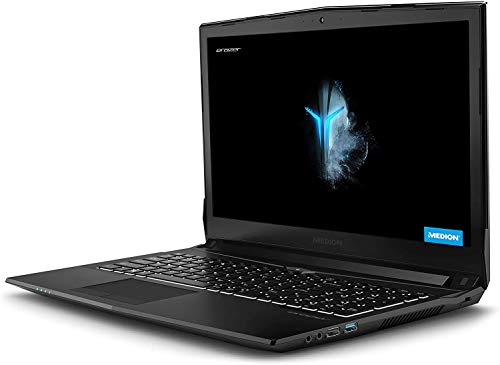 Medion ERAZER P6605 - Portátil gaming 15.6" FullHD (Intel Core i5-8300H, 8GB RAM, 256GB SSD + 1TB HDD, GeForce GTX 1050-4GB, sin Sistema Operativo) - Teclado QWERTY Español