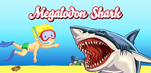 Megalodon Shark