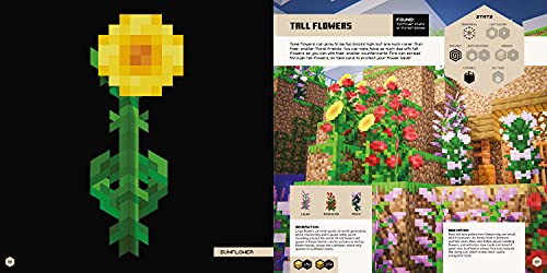 Minecraft Blockopedia: Updated Edition: The Definitive Illustrated Guide To Over 600 Blocks