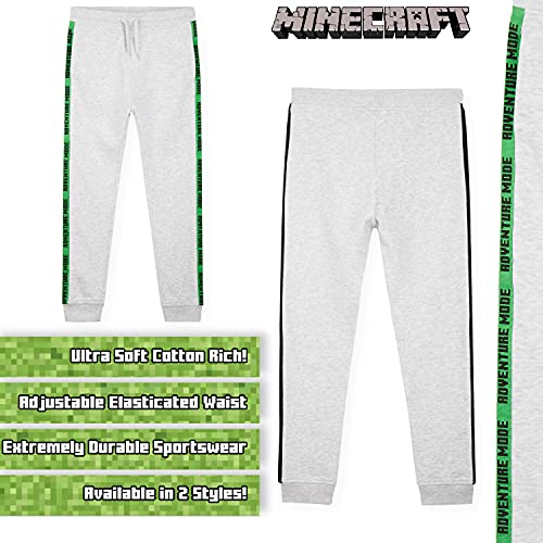 Minecraft Chandal Niño, Conjunto de 2 Piezas Sudadera con Capucha y Pantalon Chandal, Regalos Para Niños y Adolescentes 5-14 Años (13-14 Años, Gris)