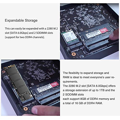 MINIX NEO J50C-8SE, 8GB/240GB Intel Celeron Mini PC con Windows 10 Pro (64 bits) [Wi-Fi/Gigabit Ethernet/4K @ 60Hz/Triple Display/USB-C/Auto Power On/Vesa Mount],Vendido directamente por MINIX.