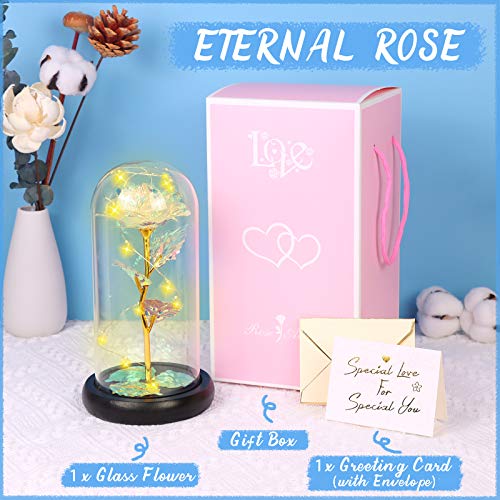 Minterest Rosa Eterna,Día de la Madre Regalo Original,Rosa Bella y Bestia con luz LED,Regalos Originales para Mujer,Regalos Mujer(Rosa)