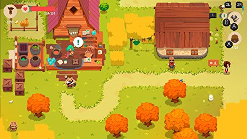 Moonlighter for Nintendo Switch [USA]