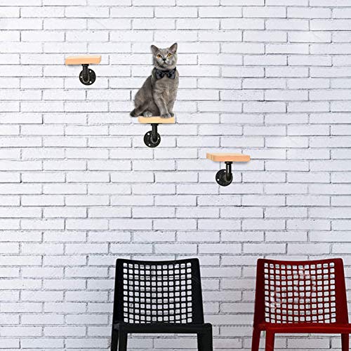 MOUHIV Estantes para Gatos montados en la Pared Que Incluyen 1 Estante para Gatos y 3 escaleras para Gatos y 5 Soportes para Tubos Pasos para Gatos Pasos para Gatitos Sofás para Gatitos Hecho a Mano