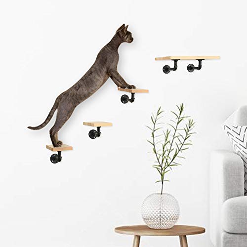 MOUHIV Estantes para Gatos montados en la Pared Que Incluyen 1 Estante para Gatos y 3 escaleras para Gatos y 5 Soportes para Tubos Pasos para Gatos Pasos para Gatitos Sofás para Gatitos Hecho a Mano
