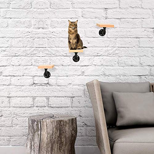 MOUHIV Estantes para Gatos montados en la Pared Que Incluyen 1 Estante para Gatos y 3 escaleras para Gatos y 5 Soportes para Tubos Pasos para Gatos Pasos para Gatitos Sofás para Gatitos Hecho a Mano
