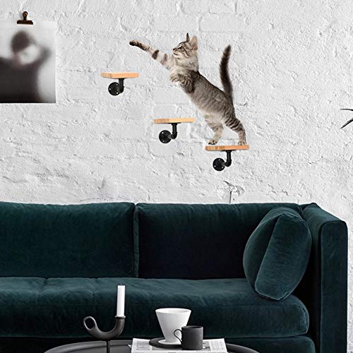 MOUHIV Estantes para Gatos montados en la Pared Que Incluyen 1 Estante para Gatos y 3 escaleras para Gatos y 5 Soportes para Tubos Pasos para Gatos Pasos para Gatitos Sofás para Gatitos Hecho a Mano