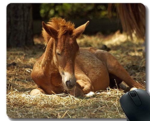 Mousepad de Goma Modificado para requisitos particulares, Caballo de Granja del Potro con la Frontera Cosida