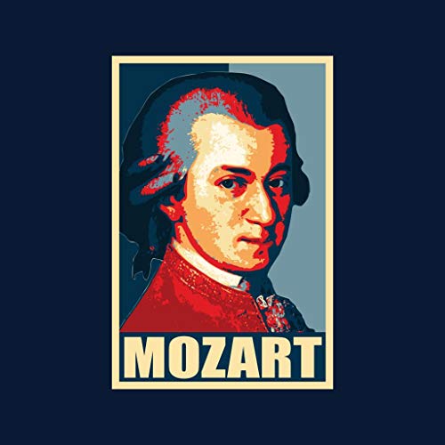 Mozart Propaganda Pop Art Men's Hooded Sweatshirt