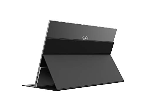 MSI Optix MAG161V-002 - Monitor IPS portátil, 40 cm (15,6 Pulgadas), 60 Hz, FHD (1920x1080), Color Negro (diseño portátil, Formato Ultrafino, Panel IPS, USB Type-C, Mini HDMI)