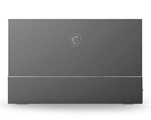 MSI Optix MAG161V - Monitor portátil de 15.6" FullHD 60Hz (1920 x 1080, pantalla plana, panel IPS, ratio 16:9, brillo 180 nits, Anti-glare) gris