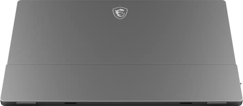 MSI Optix MAG162V - Monitor portátil de 15.6" FullHD, 60Hz, 1920 x 1080, Pantalla Plana, Panel IPS, Ratio 16:9, Brillo 250 nits, Anti-Glare, Color Gris