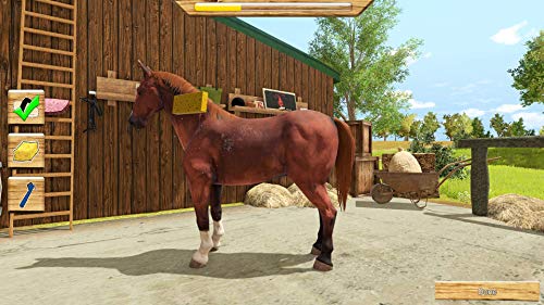 My Little Riding Champion - PlayStation 4 [Importación inglesa]