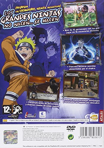 Naruto Ultimate Ninja 2