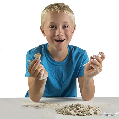 NATIONAL GEOGRAPHIC Excava Y Descubre-Diente De Tiburón, Multicolor (60062)