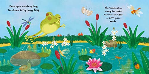 Nature Stories: Little Frog