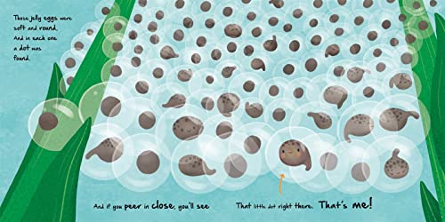 Nature Stories: Little Frog