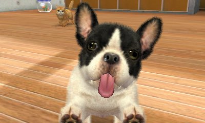Nintendo 3DS Nintendogs + Gatos: Bulldog