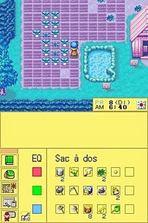 Nintendo Harvest Moon DS - Juego (Nintendo DS)