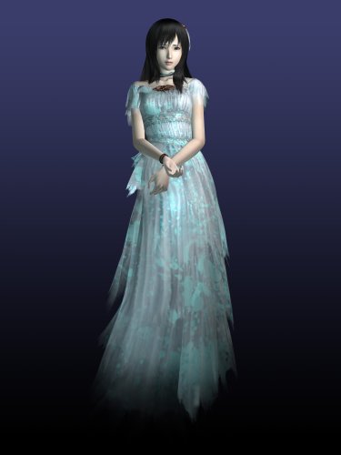 Nintendo Spirit Camera - Juego (3DS)