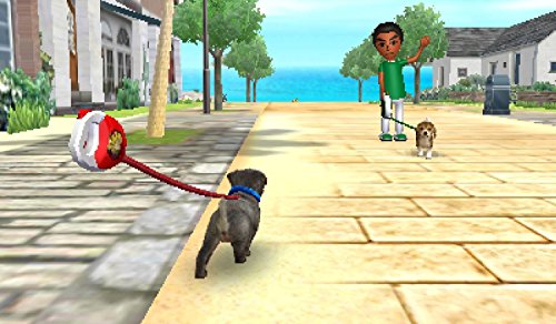 Nintendogs + Cats Golden Retriever & Ses Nouveaux Amis - Nintendo Selects [Importación Francesa]