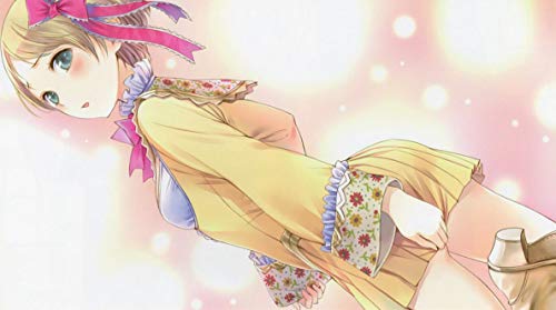 none_branded Atelier Rorona Alchemist of Arland 108cm x 60cm 43inch x 24inch Waterproof Poster *Anti-Fading* EWP/137766869