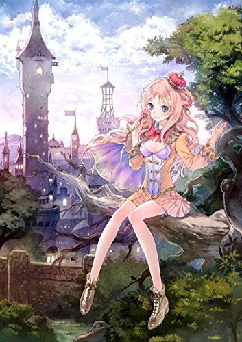 none_branded Atelier Rorona Alchemist of Arland 60cm x 85cm 24inch x 34inch Waterproof Poster *Anti-Fading* 2WP/751449868