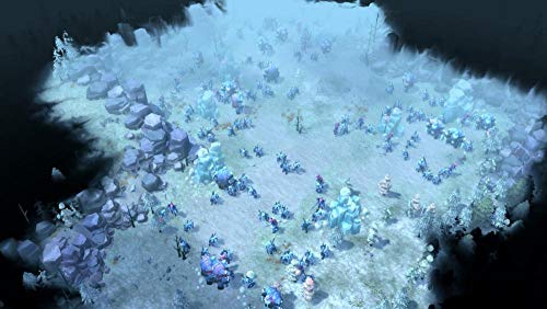 Northgard [Importación francesa]
