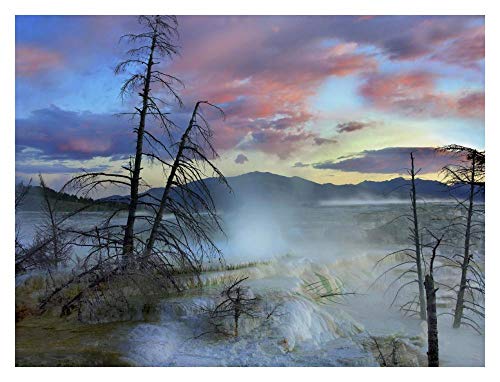 Obras de Arte Italia Steam surge de formaciones travertinas, Minerva Terrace, Mammoth Hot Springs, Yellowstone National Park, Wyoming-Paper Art-34"x26"