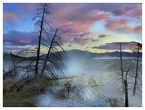 Obras de Arte Italia Steam surge de formaciones travertinas, Minerva Terrace, Mammoth Hot Springs, Yellowstone National Park, Wyoming-Paper Art-50"x38"