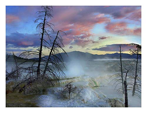 Obras de Arte Italia Steam surgiendo de formaciones travertinas, Terrazas Minerva, Mammoth Hot Springs, Parque Nacional Yellowstone, Arte Wyoming-Papel-26"x20"