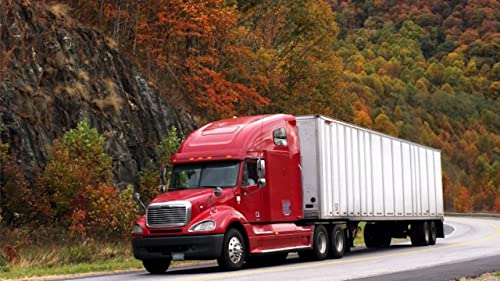 Offroad Cargo Truck Simulator 2018 (Heavy Truck Driver)