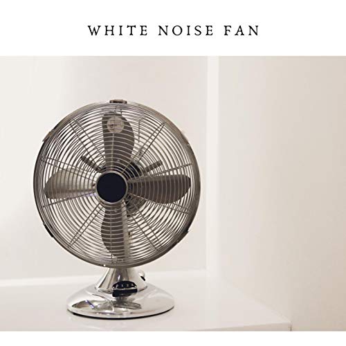 Online Fan Noise