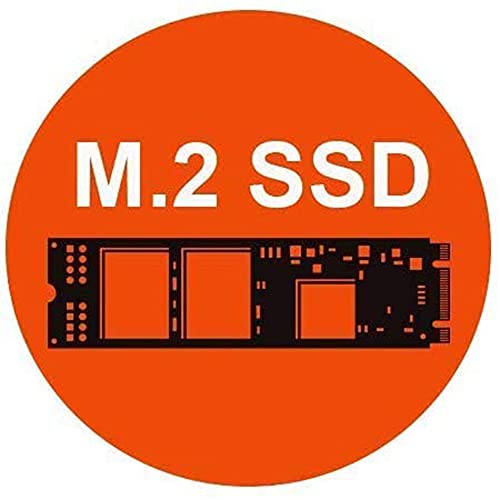 Ordenador de sobremesa Intel i3 10100 hasta 4,30 GHz Quadcore, Intel Graphics Ultra HD 630, 8 GB de RAM ddr4, 256 GB de SSD m.2,Lettore Cd Dvd, Windows 10 Professional, PC de escritorio