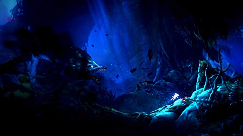 Ori and The Will of the Wisp - Nintendo Switch - Nintendo Switch [Importación francesa]