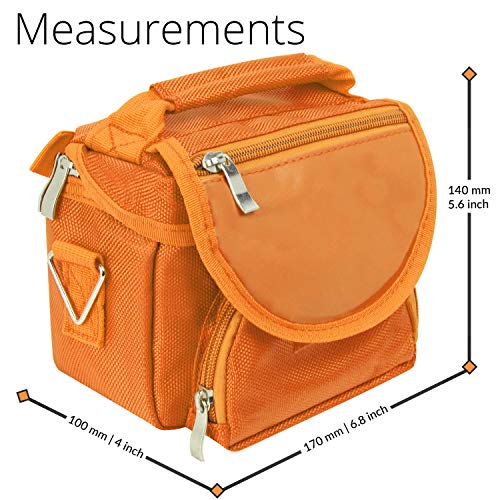 Orzly Travel Bag for Nintendo DS Consoles (Bolsa de Viaje para Consola Juegos y Accessarios) - Adapta TODOS Los Versiones de DS con Pantalla Plegable (Por ejemplo: DS / 3DS / 3DS XL / DS Lite / DSi / New 3DS / New 3DS XL / 2DS XL / etc pero no 2DS Modelo 