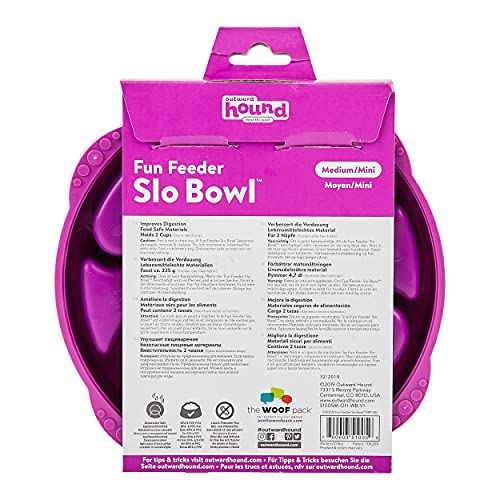 Outward Hound Fun Feeder Slo-Bowl - Comedero con obstáculos para perros - Morado - Mediano/mini