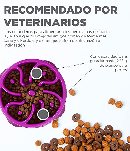 Outward Hound Fun Feeder Slo-Bowl - Comedero con obstáculos para perros - Morado - Mediano/mini