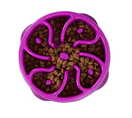 Outward Hound Fun Feeder Slo-Bowl - Comedero con obstáculos para perros - Morado - Mediano/mini