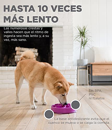Outward Hound Fun Feeder Slo-Bowl - Comedero con obstáculos para perros - Morado - Mediano/mini