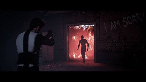 Past Cure - PlayStation 4 [Importación inglesa]