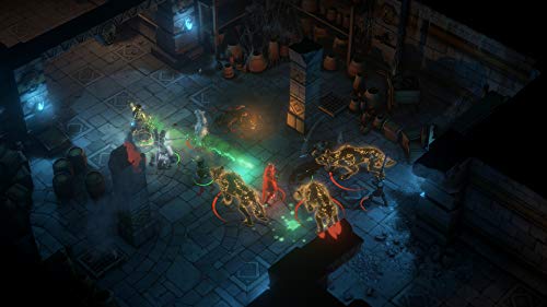 Pathfinder Kingmaker for Xbox One [USA]