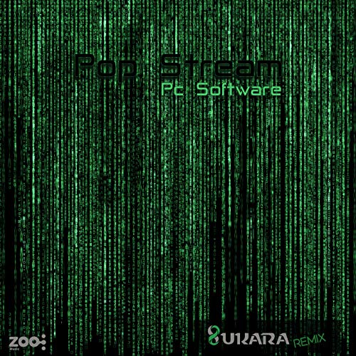 Pc Software (Remix)