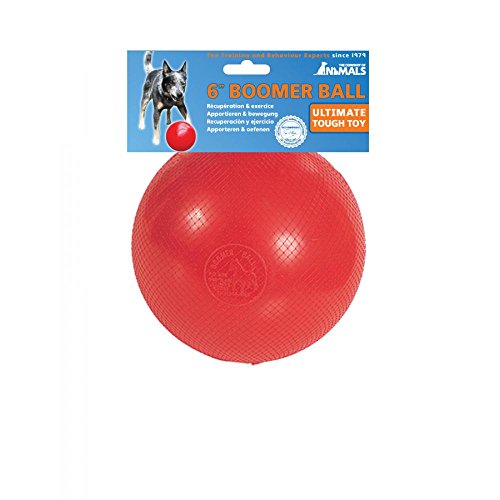 Pelota Boomer Ball indestructible de juguete para perros (15 cm/Variado)