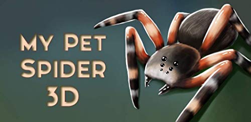 Pet Spider