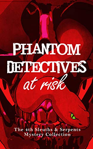 Phantom Detectives at Risk: A Cozy Mystery Collection of 10 Short Stories (English Edition)