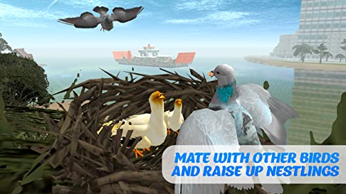 Pigeon Simulator: Flying Bird | City Bird Game| Ultimate Animal Sim Bird Adventure Escape Challenge