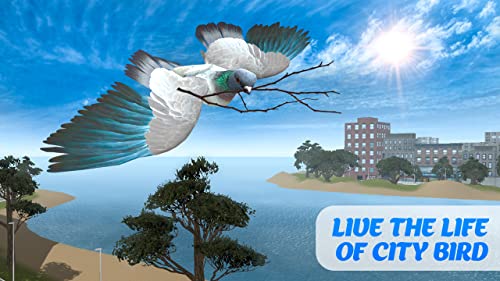 Pigeon Simulator: Flying Bird | City Bird Game| Ultimate Animal Sim Bird Adventure Escape Challenge